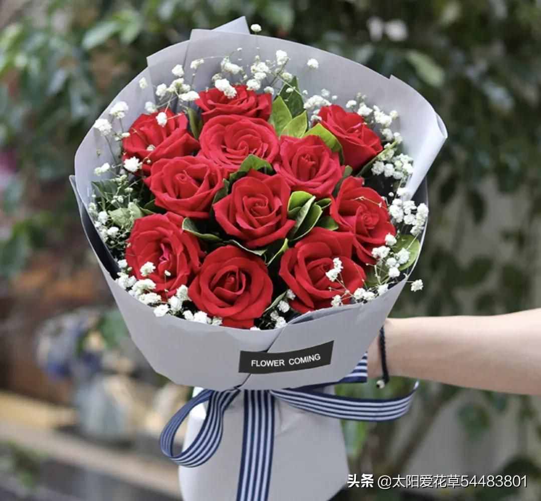 情人節(jié)，5種花卉適合送給喜歡的人，你會(huì)送哪一種花？