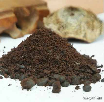 到底什么是麝香？為何如此名貴？
