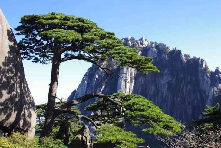 黃山有四絕：除了溫泉、奇松怪石，日出云海更值得一看
