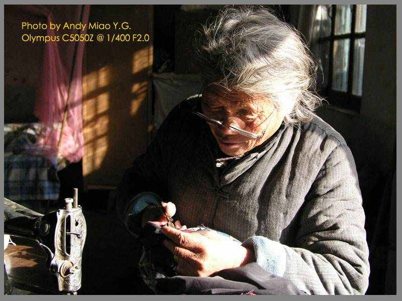 誰言寸草心，報(bào)得三春暉？母愛深深，無以報(bào)答
