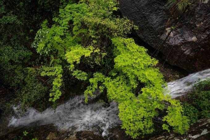 1天之內(nèi)如何游玩雁蕩山最精華的景區(qū)，這篇攻略你一定要收好