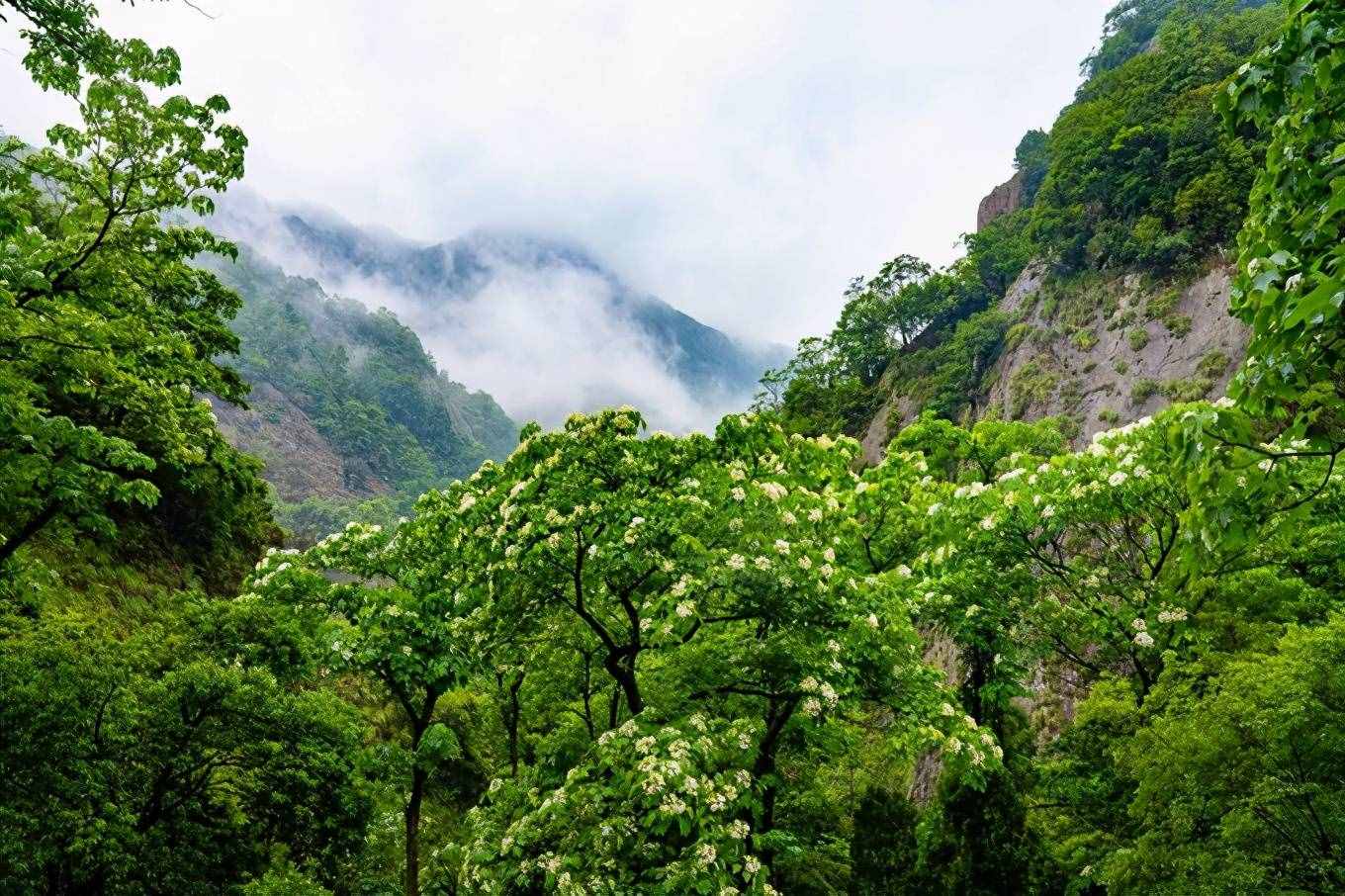 1天之內(nèi)如何游玩雁蕩山最精華的景區(qū)，這篇攻略你一定要收好