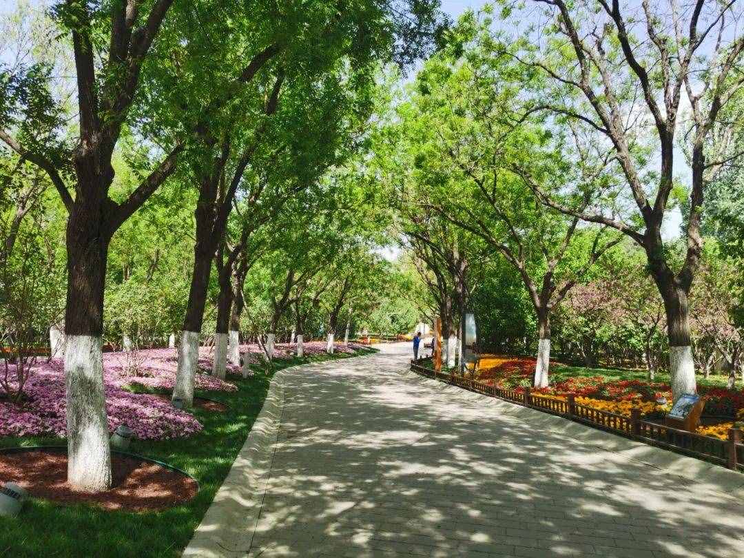 假期打卡大運(yùn)河森林公園，這份攻略請(qǐng)收好