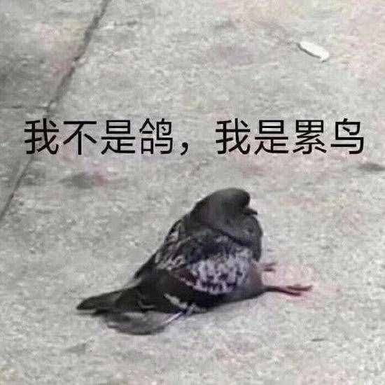 三八節(jié)花式禮物大亮！網(wǎng)友：有些還不如沒有