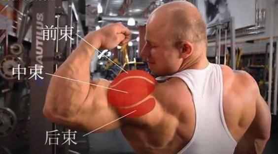 6個經(jīng)典動作全面刺激你的三角肌，讓肩部更寬，胸部肌群提升更快