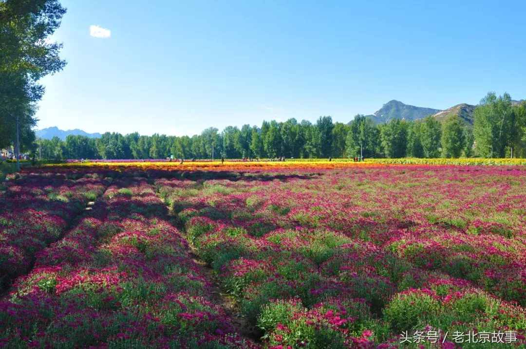 無法形容的美！清明假期北京周邊20處踏青圣地！