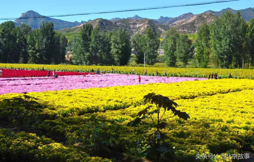 無法形容的美！清明假期北京周邊20處踏青圣地！