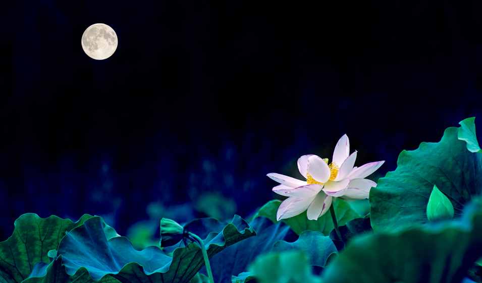 古人借月抒懷，歌詠月亮的經(jīng)典詩詞，太美太有意蘊了