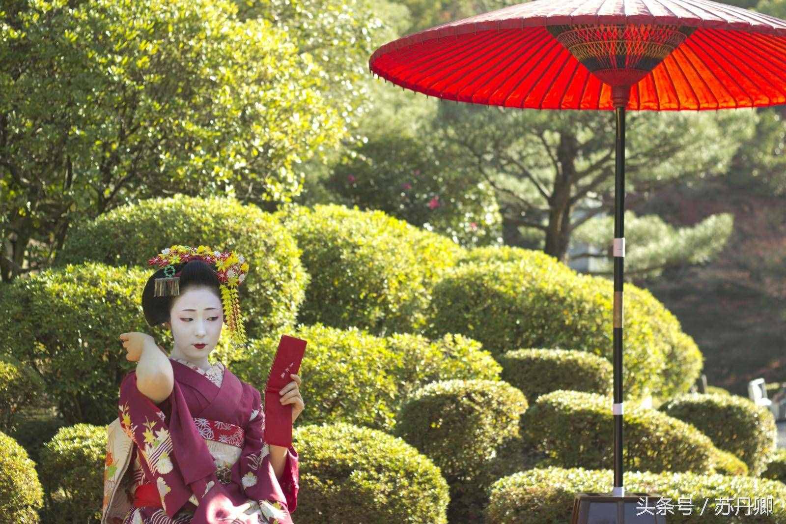 頗具爭(zhēng)議的藝妓：在日本地位崇高，中國(guó)人認(rèn)為只是風(fēng)月場(chǎng)所