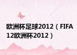 歐洲杯足球2012（FIFA12歐洲杯2012）
