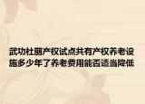 武功杜麗產(chǎn)權(quán)試點(diǎn)共有產(chǎn)權(quán)養(yǎng)老設(shè)施多少年了養(yǎng)老費(fèi)用能否適當(dāng)降低
