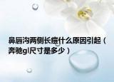 鼻唇溝兩側(cè)長痘什么原因引起（奔馳gl尺寸是多少）