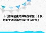 十代雅閣的主動(dòng)降噪在哪里（十代雅閣主動(dòng)降噪系統(tǒng)在什么位置）