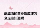 翡翠灣的營(yíng)業(yè)部應(yīng)該怎么走誰(shuí)知道呢