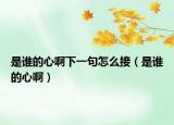 是誰的心啊下一句怎么接（是誰的心啊）