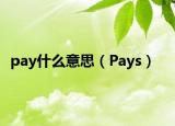 pay什么意思（Pays）