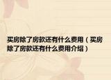 買房除了房款還有什么費(fèi)用（買房除了房款還有什么費(fèi)用介紹）