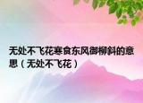無處不飛花寒食東風(fēng)御柳斜的意思（無處不飛花）