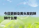 今日更新染黃頭發(fā)的妹妹什么梗