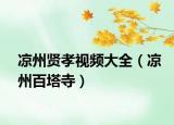 涼州賢孝視頻大全（涼州百塔寺）