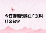 今日更新南姜在廣東叫什么名字