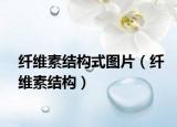 纖維素結(jié)構(gòu)式圖片（纖維素結(jié)構(gòu)）