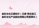 金科文化王健照片（王健 曾任浙江金科文化產(chǎn)業(yè)股份有限公司董事長）