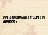 青年志愿者協(xié)會(huì)是干什么的（青年志愿者）