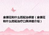 金銀花和什么搭配治感冒（金銀花和什么搭配治療口臭詳細介紹）