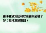雅詩(shī)蘭黛集團(tuán)和歐萊雅集團(tuán)哪個(gè)好（雅詩(shī)蘭黛集團(tuán)）