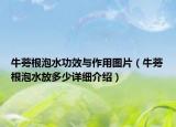 牛蒡根泡水功效與作用圖片（牛蒡根泡水放多少詳細(xì)介紹）