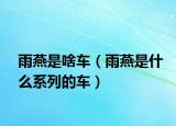 雨燕是啥車（雨燕是什么系列的車）