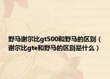 野馬謝爾比gt500和野馬的區(qū)別（謝爾比gte和野馬的區(qū)別是什么）