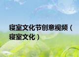 寢室文化節(jié)創(chuàng)意視頻（寢室文化）