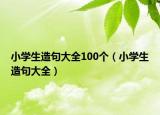 小學(xué)生造句大全100個(gè)（小學(xué)生造句大全）