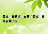 天命主宰起點(diǎn)中文網(wǎng)（天命主宰 黑巖網(wǎng)小說）