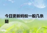 今日更新螞蟻一般幾條腿