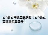 云b是云南哪里的牌照（云b是云南哪里的車牌號(hào)）