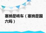 塞納是啥車（塞納是國六嗎）