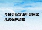 今日更新穿山甲是國家?guī)准?jí)保護(hù)動(dòng)物
