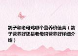 鴿子和老母雞哪個營養(yǎng)價值高（鴿子營養(yǎng)好還是老母雞營養(yǎng)好詳細介紹）
