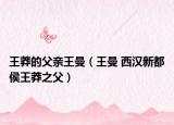 王莽的父親王曼（王曼 西漢新都侯王莽之父）