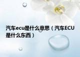 汽車ecu是什么意思（汽車ECU是什么東西）