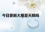 今日更新大雁是天鵝嗎