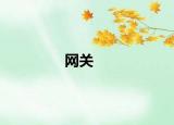 網(wǎng)關
