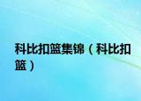 科比扣籃集錦（科比扣籃）