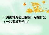 一片孤城萬仞山的前一句是什么（一片孤城萬仞山）