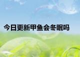 今日更新甲魚會(huì)冬眠嗎