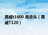 惠威t1600 高音頭（惠威T120）