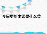 今日更新木須是什么菜